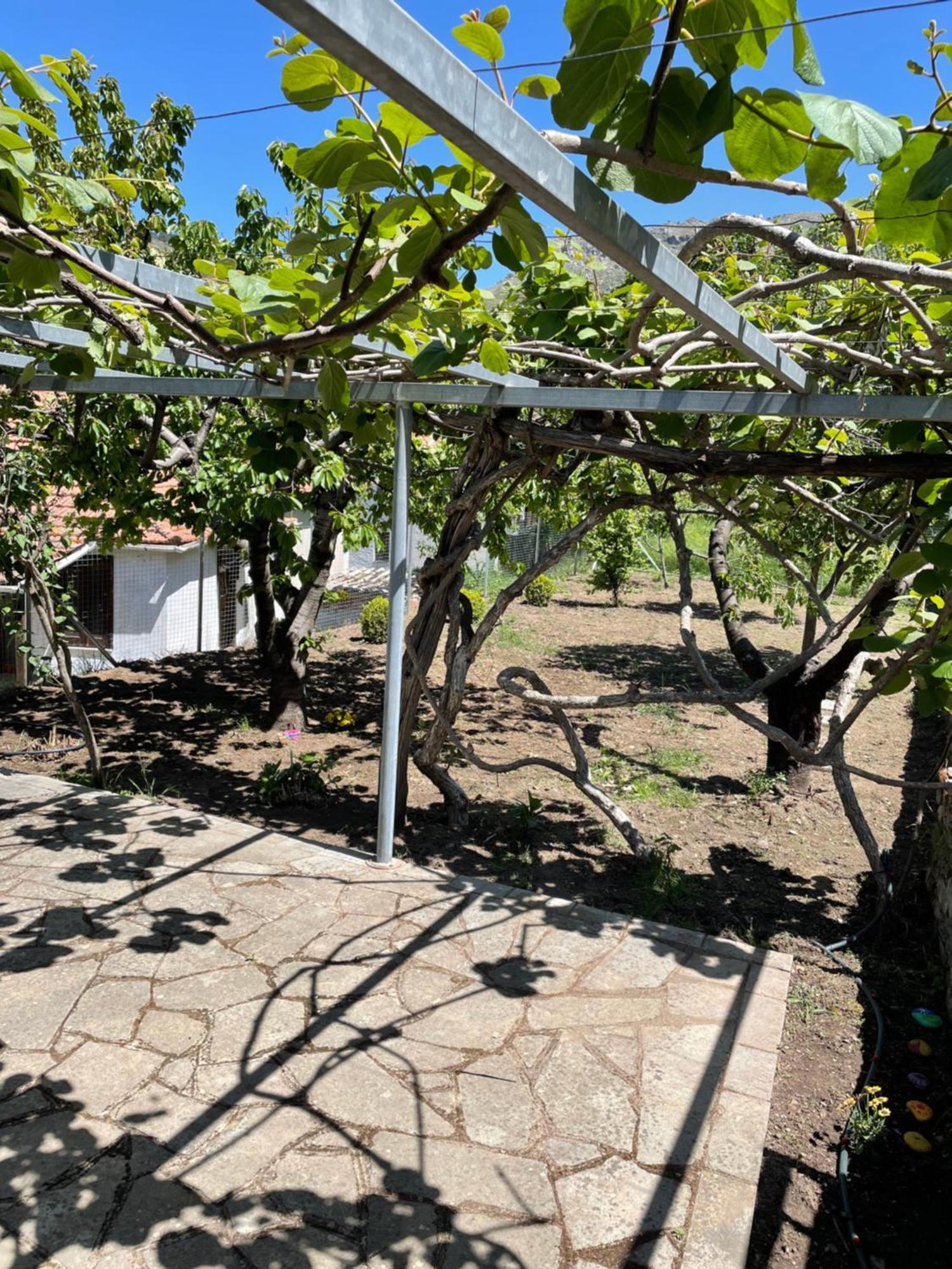 Lila'S Guest House Mikros Prinos المظهر الخارجي الصورة